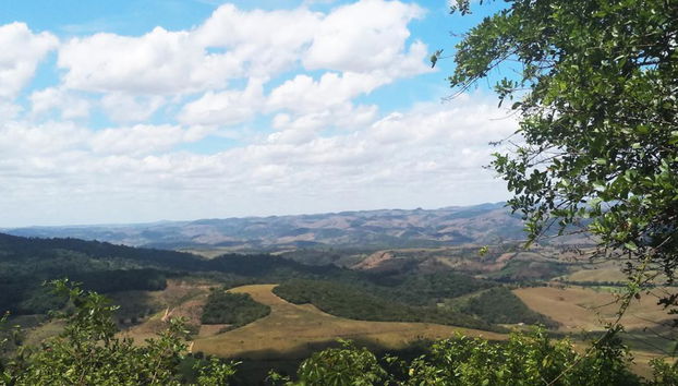 Belly Saw Tour, Quilombo dos Palmares - Photo 4